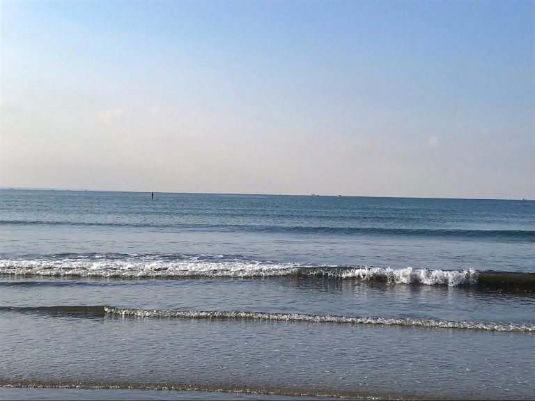 鎌倉で出会う心の癒し