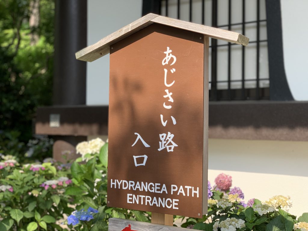 長谷寺　あじさい路看板
