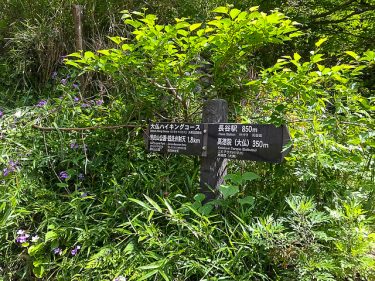 第四回「葛原岡・大仏ハイキングコース」
