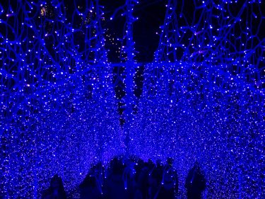 江の島イルミネーション「湘南の宝石」