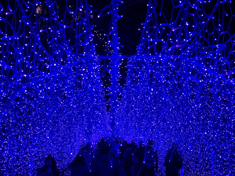 江の島イルミネーション画像