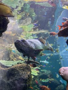 Key memory new staff ひろみ