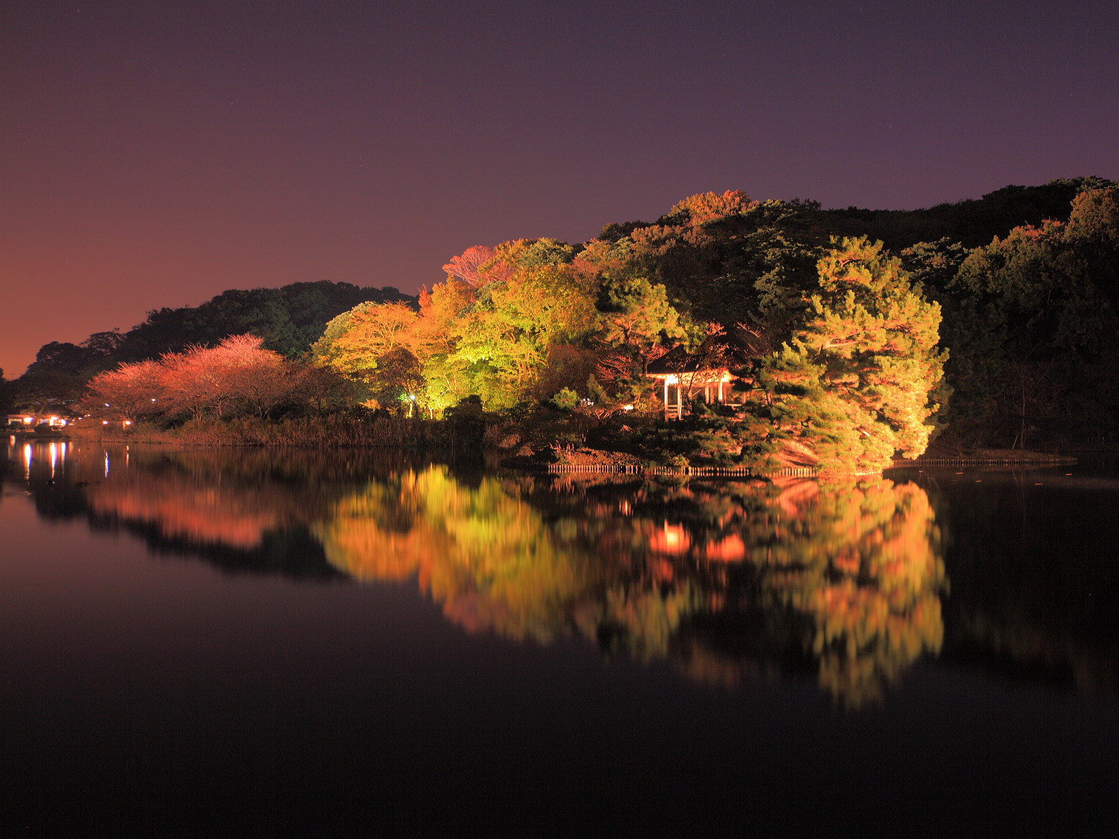 三渓園ライトアップ