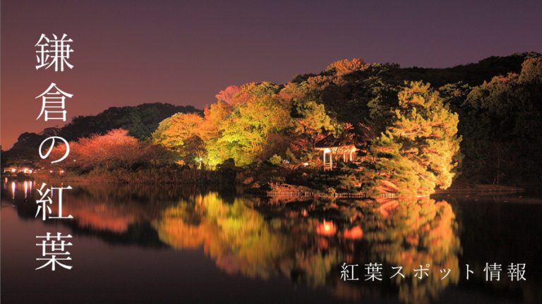 鎌倉エリアの紅葉時期はいつ？紅葉スポット情報もご紹介