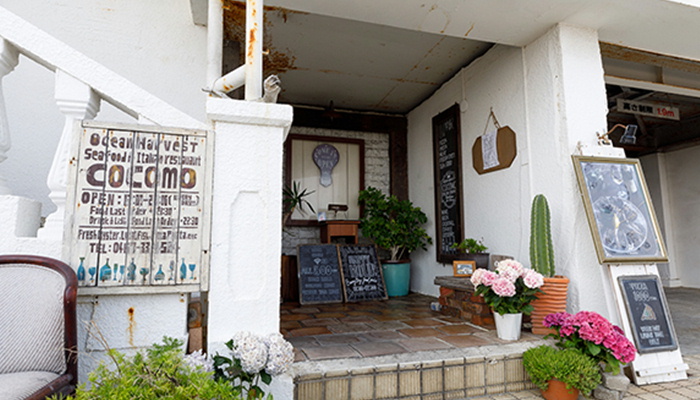 オーシャンハーベストココモ