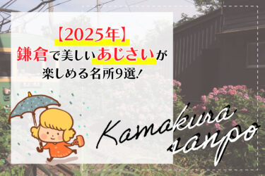 【2025年】鎌倉で美しいあじさいが楽しめる名所9選！